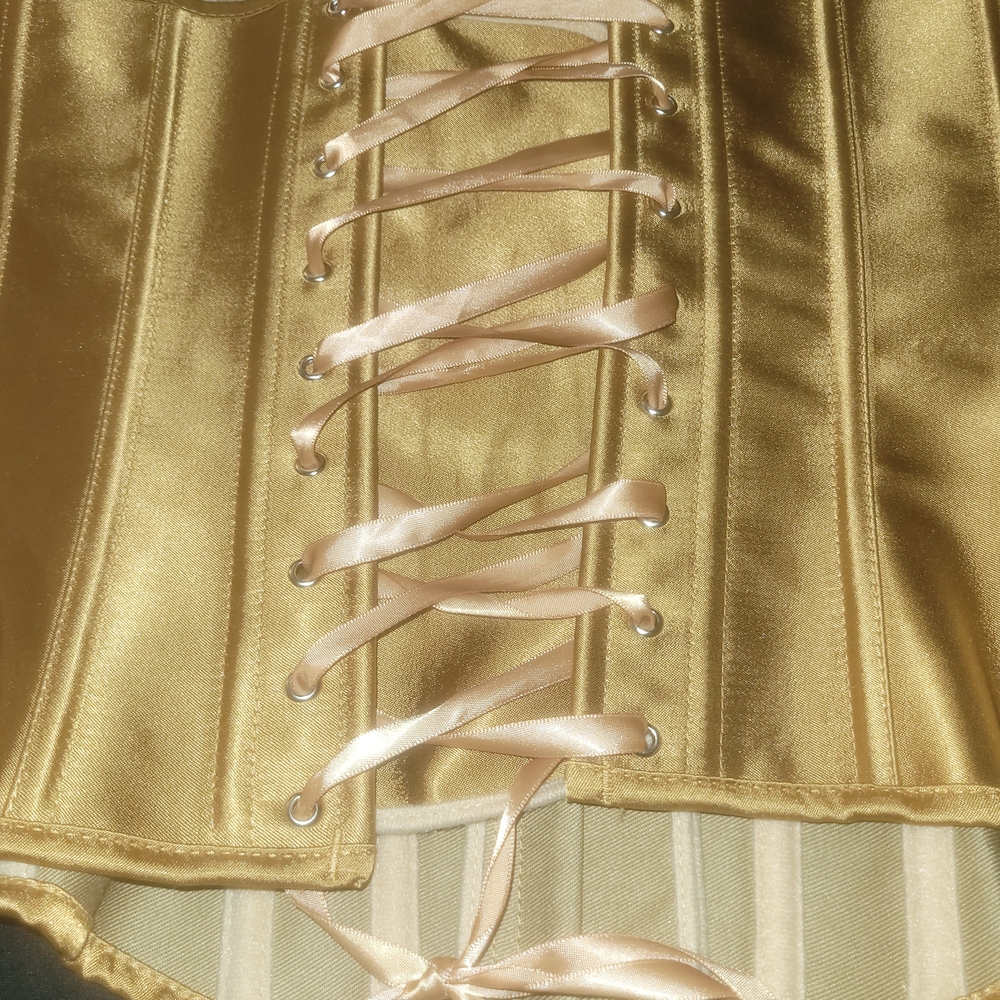 Vintage Gold Satin Boned Lace-Up Corset - Picture 5 of 9